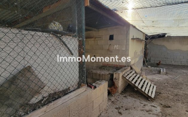 Revente - Maison de campagne - San Miguel de Salinas - San Miguel de Salinas Centro