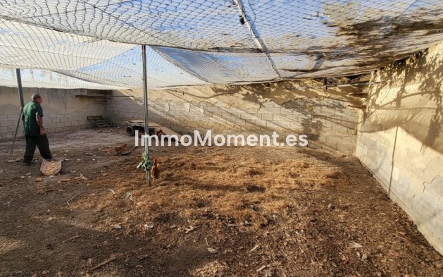 Revente - Maison de campagne - San Miguel de Salinas - San Miguel de Salinas Centro