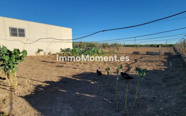 Revente - Maison de campagne - San Miguel de Salinas - San Miguel de Salinas Centro