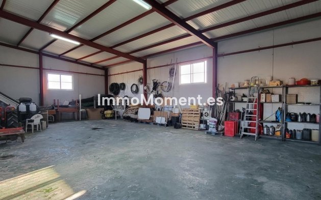 Revente - Maison de campagne - San Miguel de Salinas - San Miguel de Salinas Centro