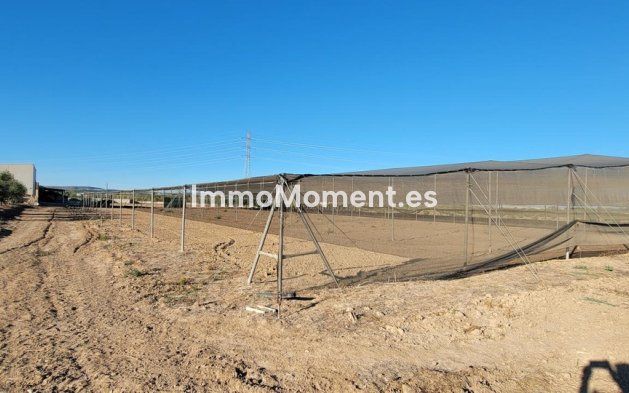 Revente - Maison de campagne - San Miguel de Salinas - San Miguel de Salinas Centro