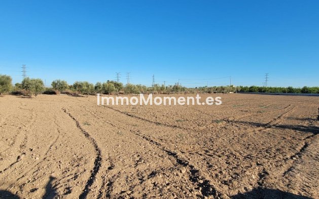 Revente - Maison de campagne - San Miguel de Salinas - San Miguel de Salinas Centro