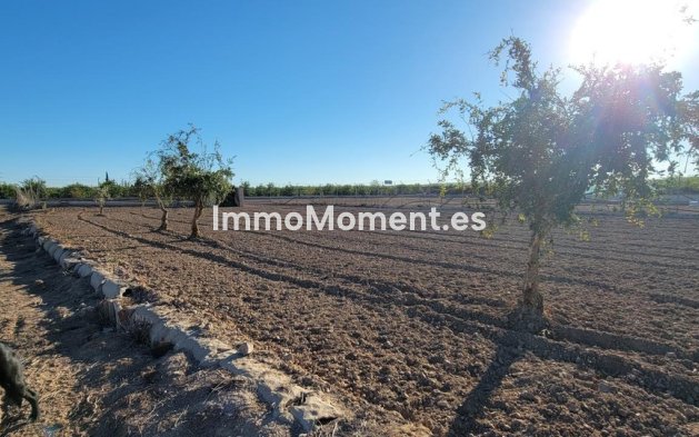 Revente - Maison de campagne - San Miguel de Salinas - San Miguel de Salinas Centro