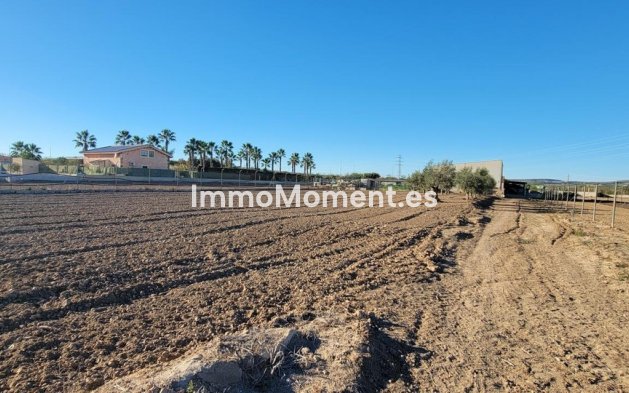 Revente - Maison de campagne - San Miguel de Salinas - San Miguel de Salinas Centro