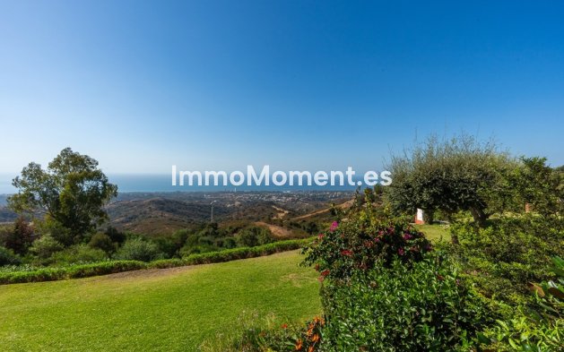 Reventa - Apartamento - Marbella - La Mairena