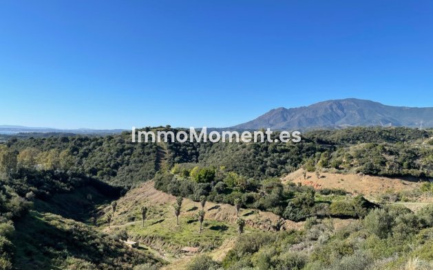Revente - Terrain - Estepona  - Estepona Centro