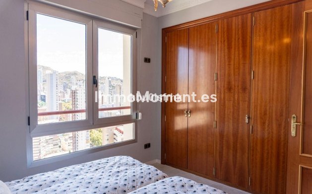 Wiederverkauf - Wohnung - Benidorm - Benidorm Centro