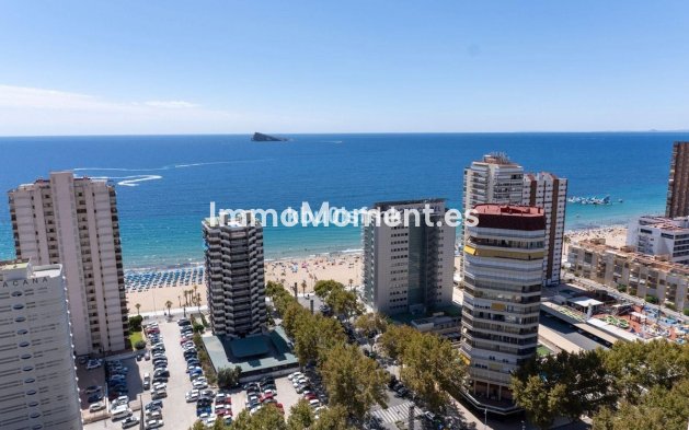 Wiederverkauf - Wohnung - Benidorm - Benidorm Centro