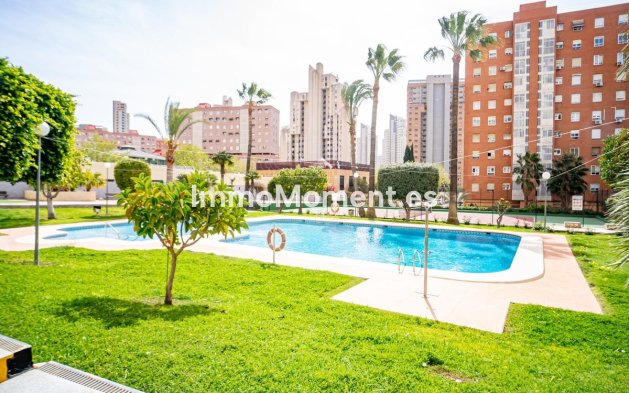 Revente - Appartement - Benidorm - Benidorm Centro