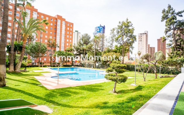 Revente - Appartement - Benidorm - Benidorm Centro