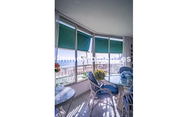 Wiederverkauf - Wohnung - Benidorm - Benidorm Centro