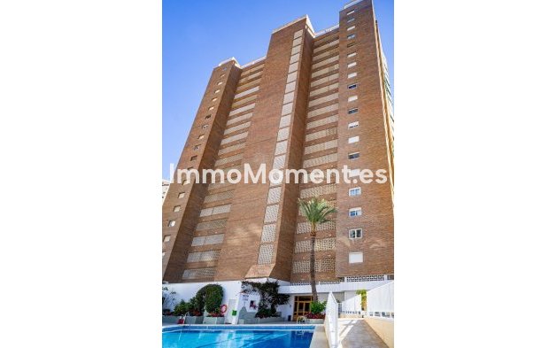 Wiederverkauf - Wohnung - Benidorm - Benidorm Centro