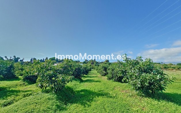 Reventa - Casa de campo - Estepona  - New Golden Mile