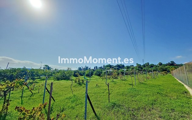 Reventa - Casa de campo - Estepona  - New Golden Mile