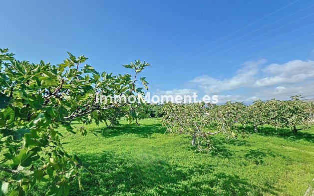 Reventa - Casa de campo - Estepona  - New Golden Mile