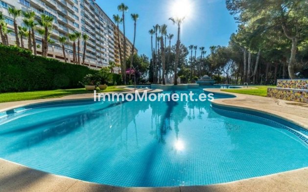 Bestaande woning - Appartement - Orihuela - Dehesa de Campoamor