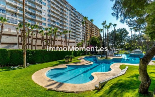 Bestaande woning - Appartement - Orihuela - Dehesa de Campoamor