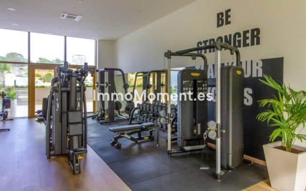 Reventa - Apartamento - Benidorm - Benidorm Centro