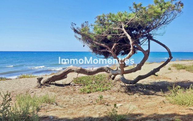 Wiederverkauf - Wohnung - Estepona  - New Golden Mile