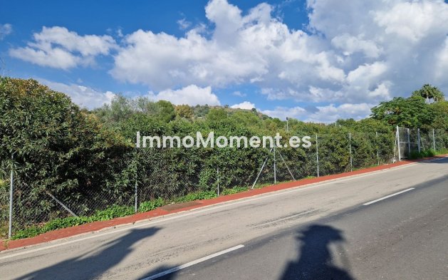 Reventa - Terreno - Marbella - Nueva Andalucía