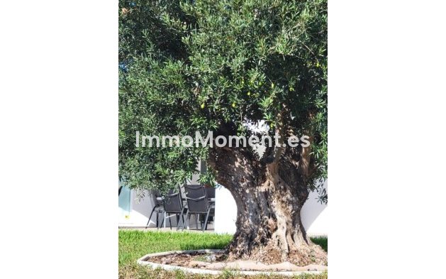 Resale - Villa - Calpe - Calpe Centro