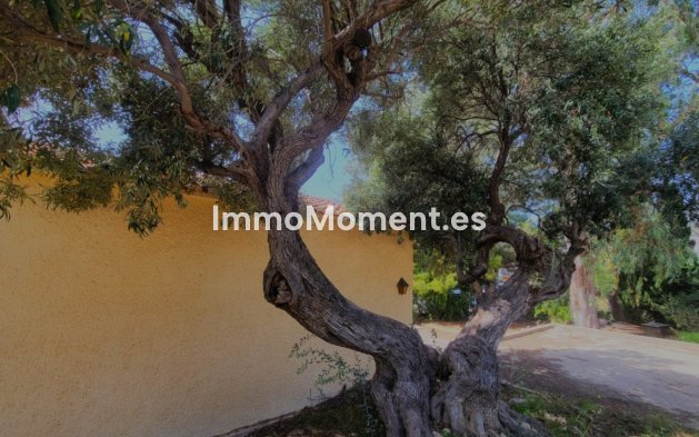 Revente - Villa - Calpe - Calpe Centro