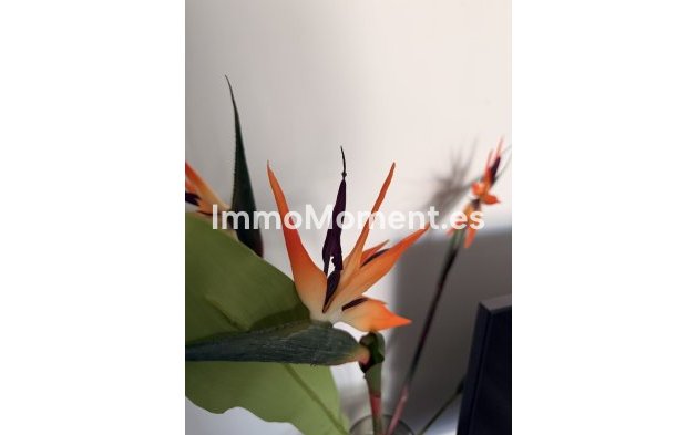 Wiederverkauf - Wohnung - Mijas - Mijas Centro