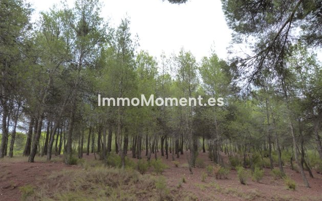 Resale - Villa - Ibi - Ibi Centro