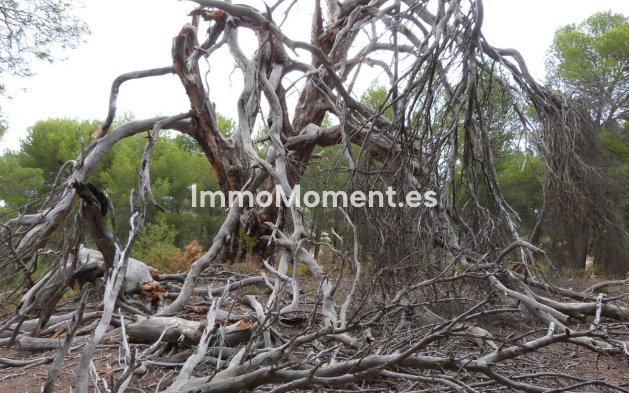 Resale - Villa - Ibi - Ibi Centro