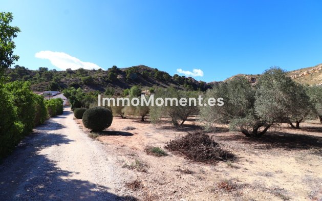 Revente - Villa - Aspe - Aspe Centro