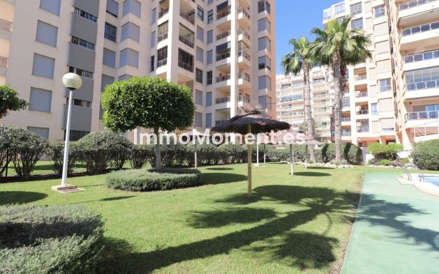 Reventa - Apartamento - Guardamar del Segura - Guardamar del Segura Centro