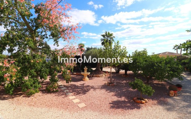 Resale - Villa - Orihuela - La Campaneta