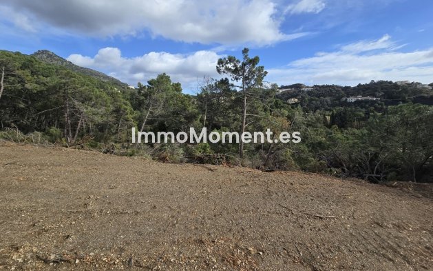 Obra nueva - Terreno - Benahavís - Benahavís Centro