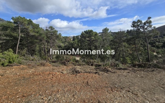 Obra nueva - Terreno - Benahavís - Benahavís Centro