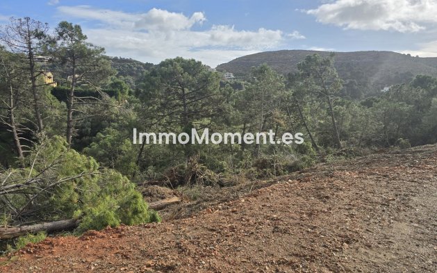 Obra nueva - Terreno - Benahavís - Benahavís Centro
