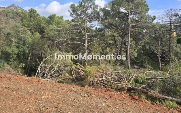 Obra nueva - Terreno - Benahavís - Benahavís Centro