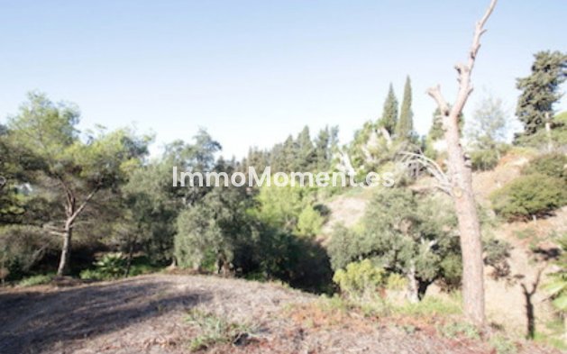 Bestaande woning - Grond - Marbella - Hacienda Las Chapas