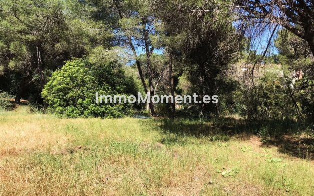 Bestaande woning - Grond - Marbella - Hacienda Las Chapas