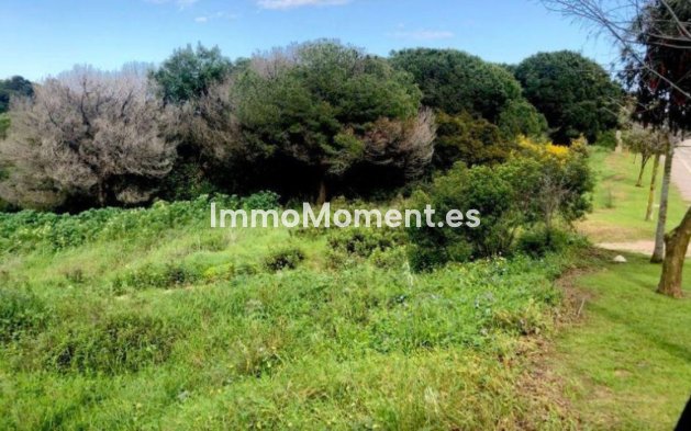 Revente - Terrain - Sotogrande