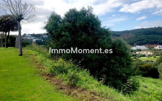 Revente - Terrain - Sotogrande