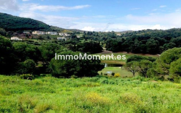 Revente - Terrain - Sotogrande