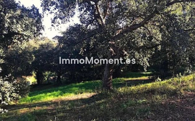 Revente - Terrain - Sotogrande - Sotogrande Alto