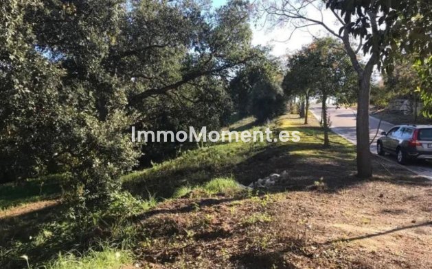 Revente - Terrain - Sotogrande - Sotogrande Alto