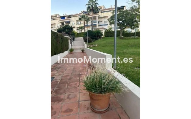 Revente - Appartement - Marbella - Nueva Andalucía