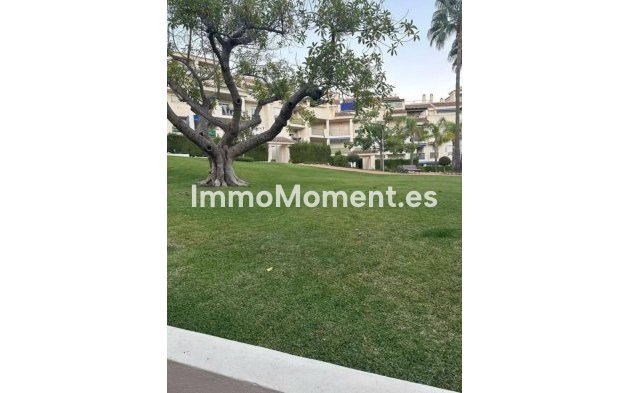 Revente - Appartement - Marbella - Nueva Andalucía