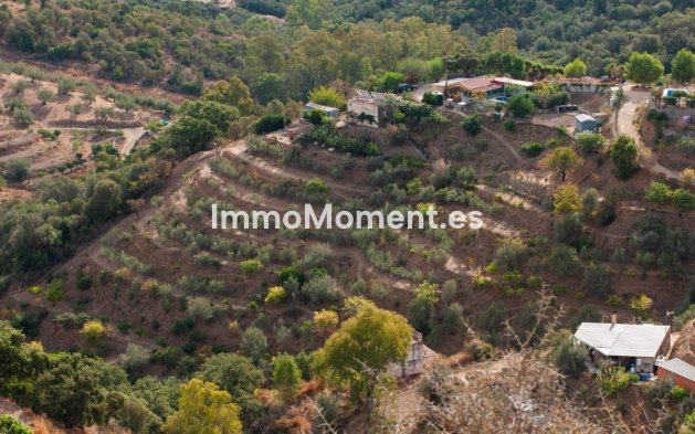 Reventa - Casa de campo - Marbella - Altos de los Monteros