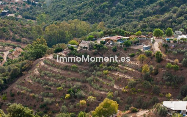 Reventa - Casa de campo - Marbella - Altos de los Monteros