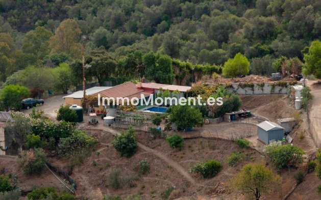 Reventa - Casa de campo - Marbella - Altos de los Monteros