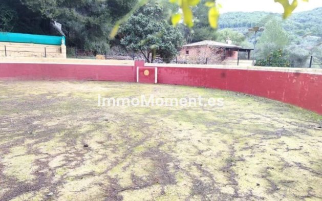 Revente - Maison de campagne - Intérieur                       - Monda