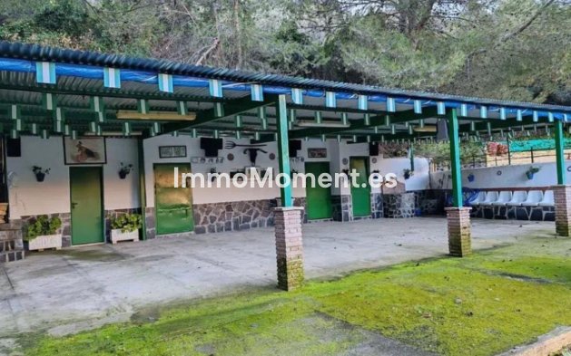 Revente - Maison de campagne - Intérieur                       - Monda